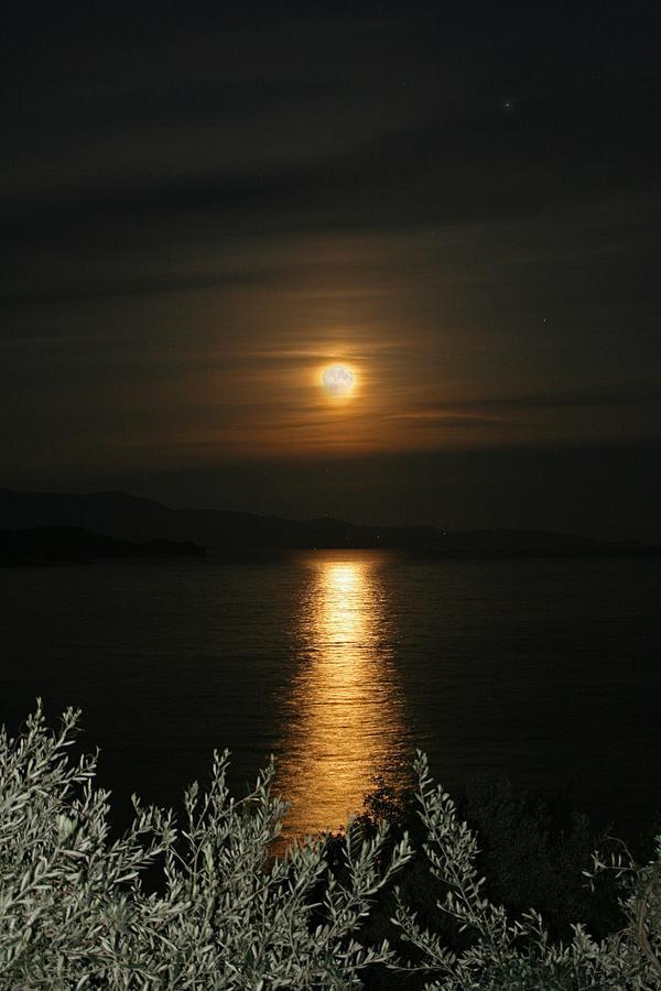 Vassilias Beach Vasilias  Zewnętrze zdjęcie
